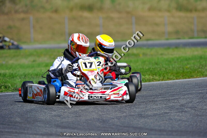 DSC_ (1338).jpg